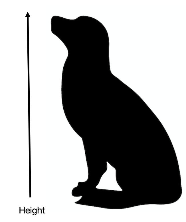 Choosing the Best Dog Crate for Your Dog Preventive Vet